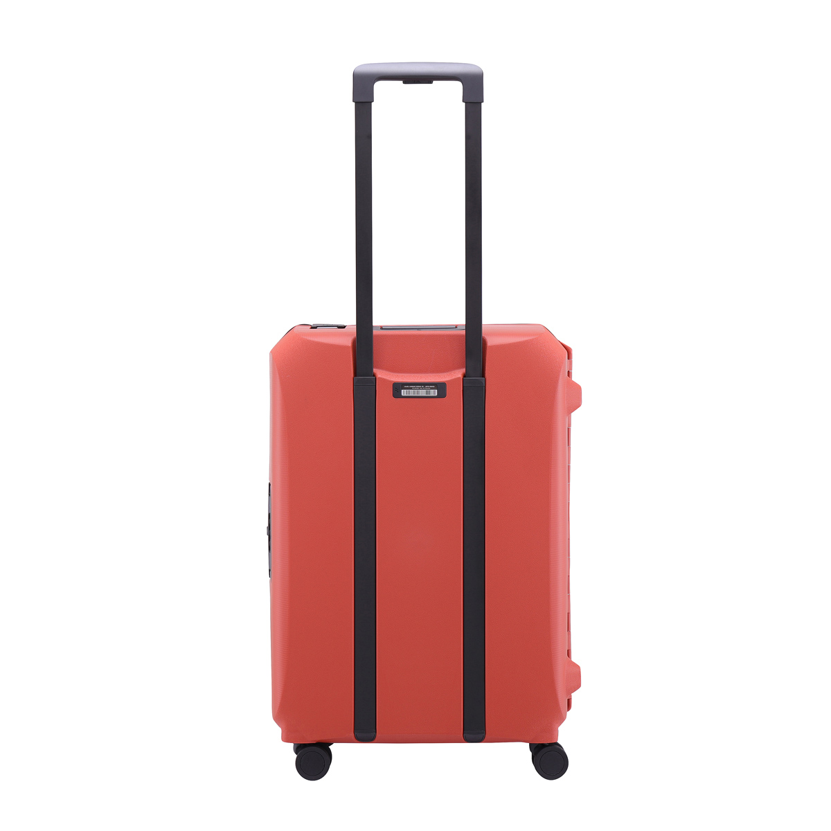 lojel medium size luggage