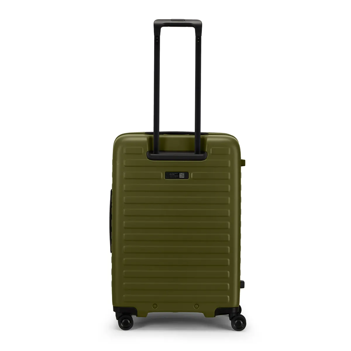 LOJEL-CUBO-Cactus-Back-MEDIUM.webp