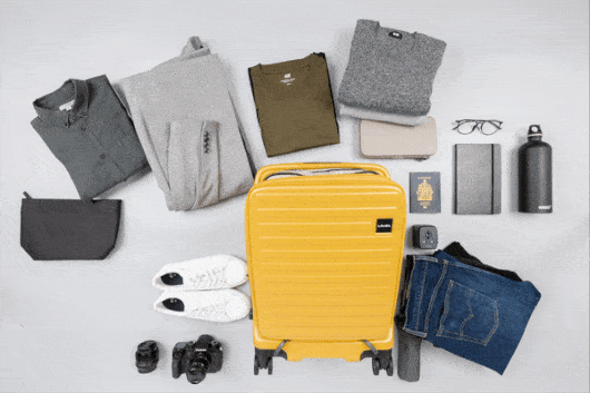 The Luggage Set | LOJEL USA