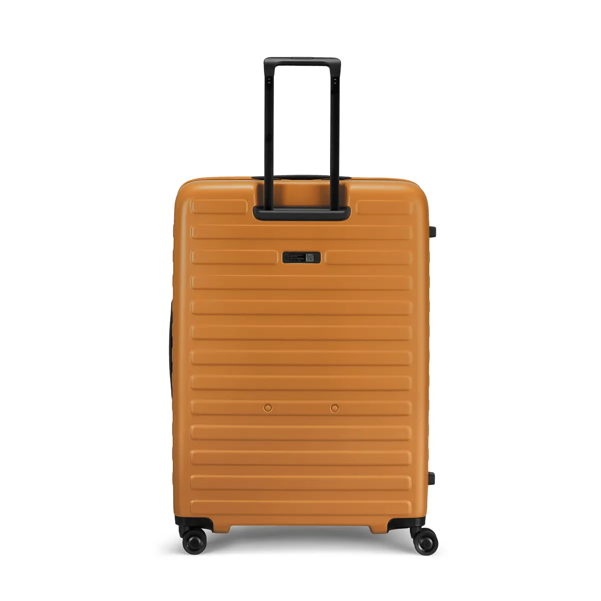 Cubo Large | LOJEL USA