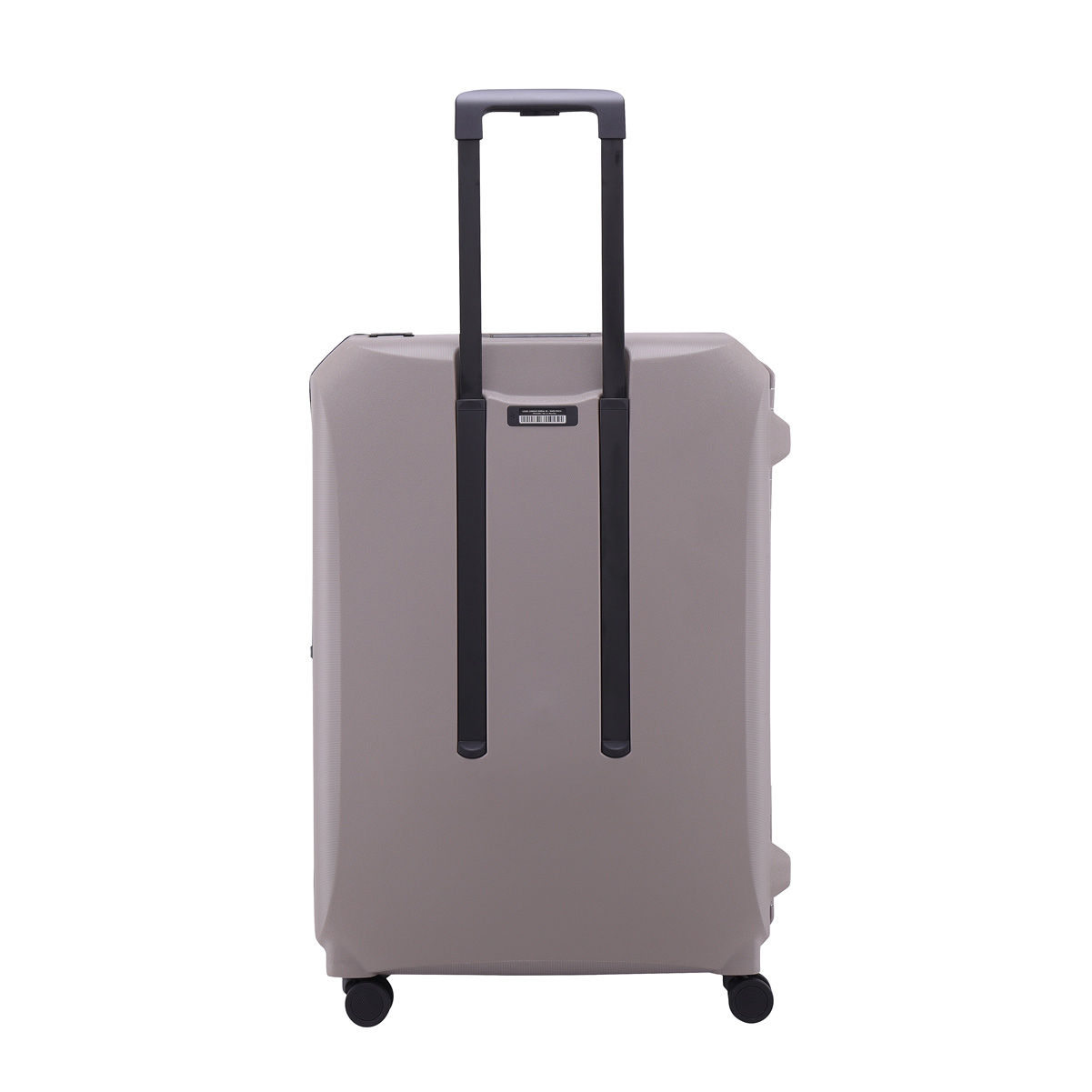 Lojel-Voja-WarmGray-Back-Large.jpg